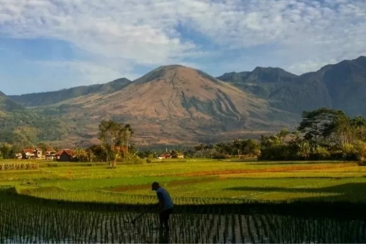 Pesona Alam Gunung Guntur